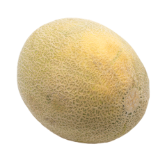 Cantaloups