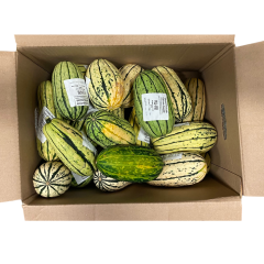 Courge Delicata - Produit du Québec