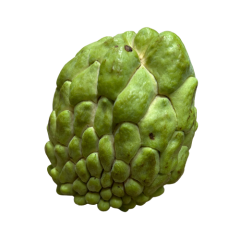 Cherimoya