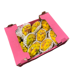 Fruits du dragon (pitahaya)