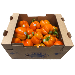 Poivrons oranges (piment doux) large