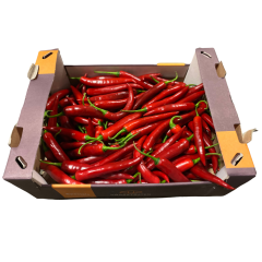 Piments forts Finger hot rouges