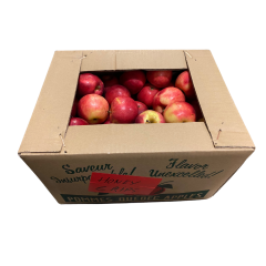 Pomme Honeycrisp