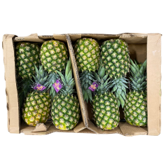 Bio Ananas Golden mx