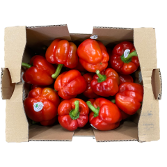 Bio poivrons rouges (piment doux)