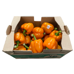 Bio poivrons orange larges (piment doux)