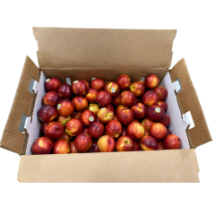 Bio nectarines