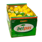 Citrons choix