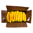 Zucchinis jaunes (courgette)