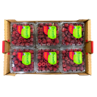 Bio framboises fraîches